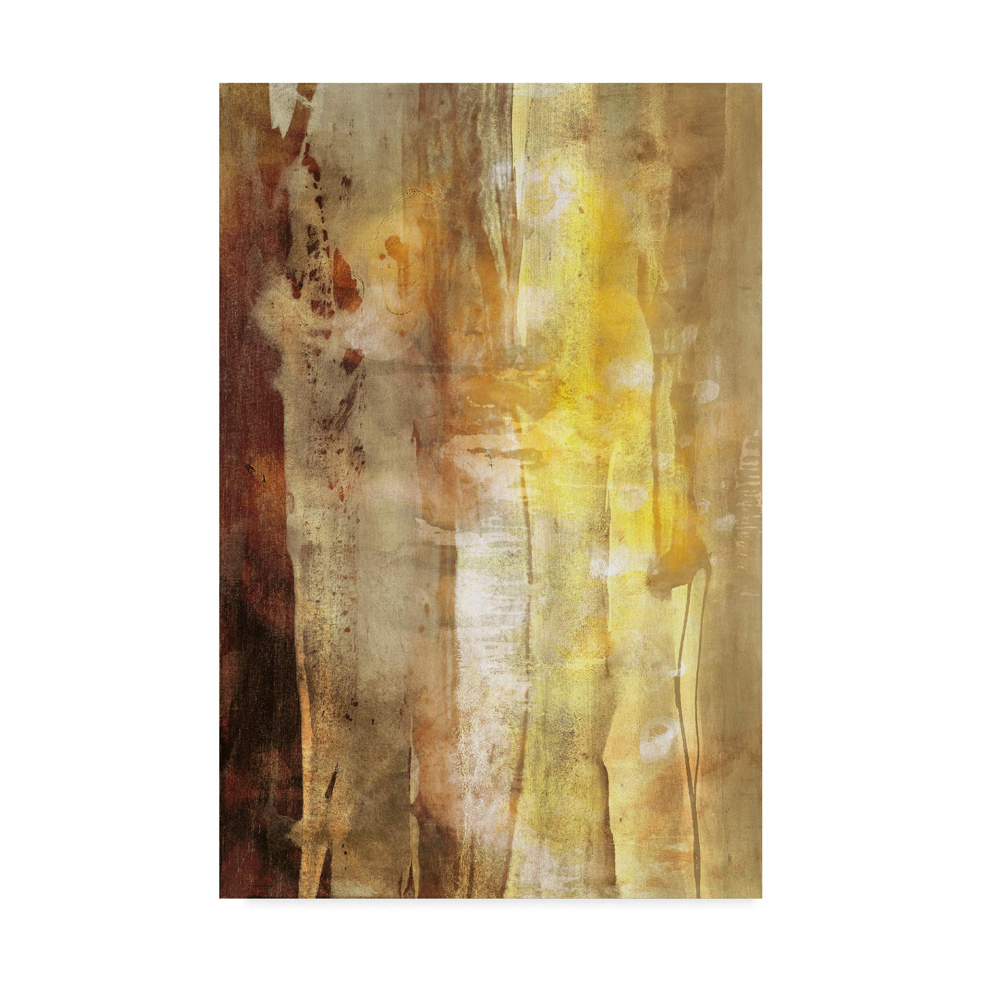 Trademark Fine Art UA CH Golden Glow I by Sisa Jasper, 16x24