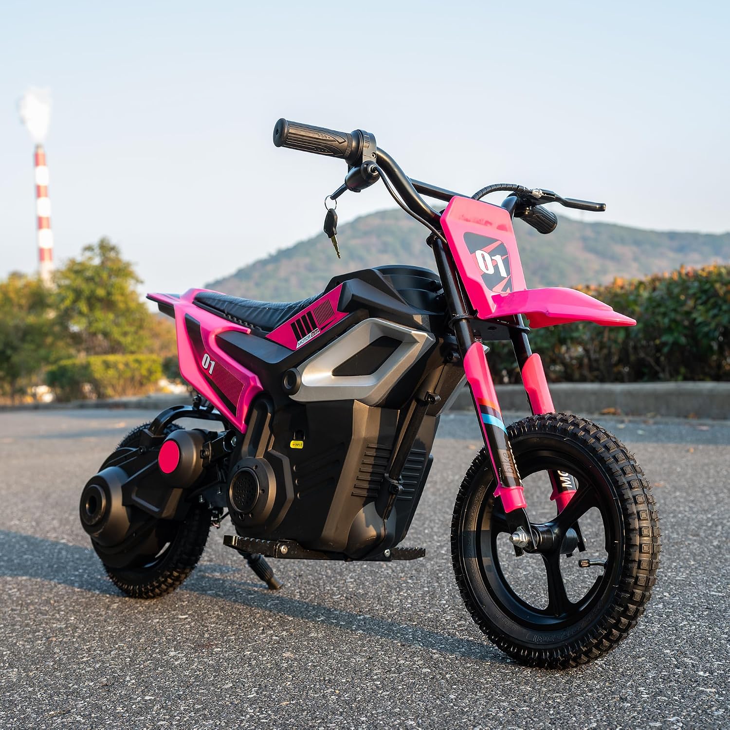 24V Electric Dirt Bike for Girls, 250W Chain Drive Motor, Magnesium Alloy Wheels, Pneumatic Tires, Key Start, Rear Shock, Disc Brake, Hot Pink