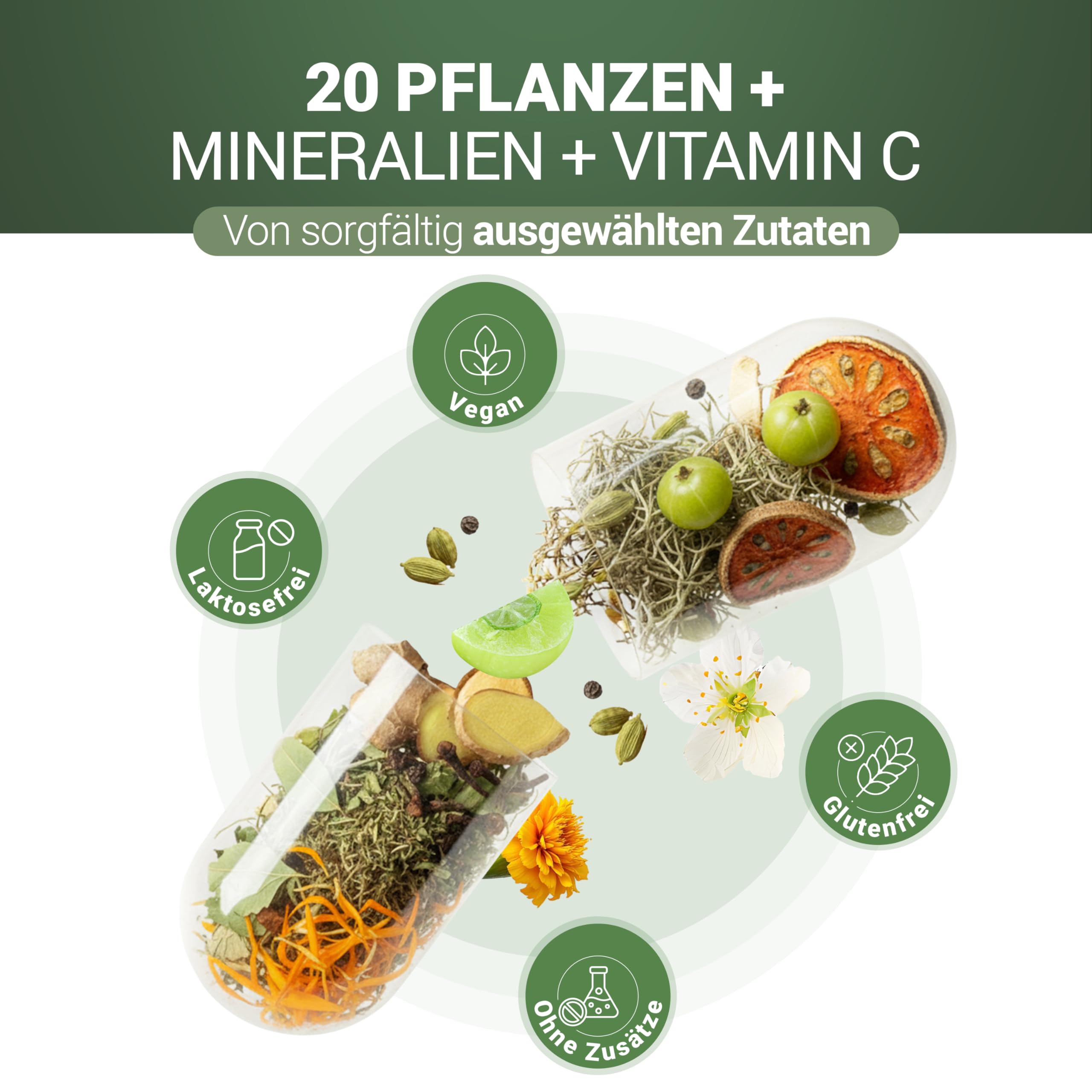 200 Kapseln - Mit Vitamin C - Unterstützung von Blutgefäßen, Immunsystem & Schutz vor Stress - Nach tibetischer Rezeptur mit Kräutern & Mineralien - Vegan, hergestellt in der Schweiz