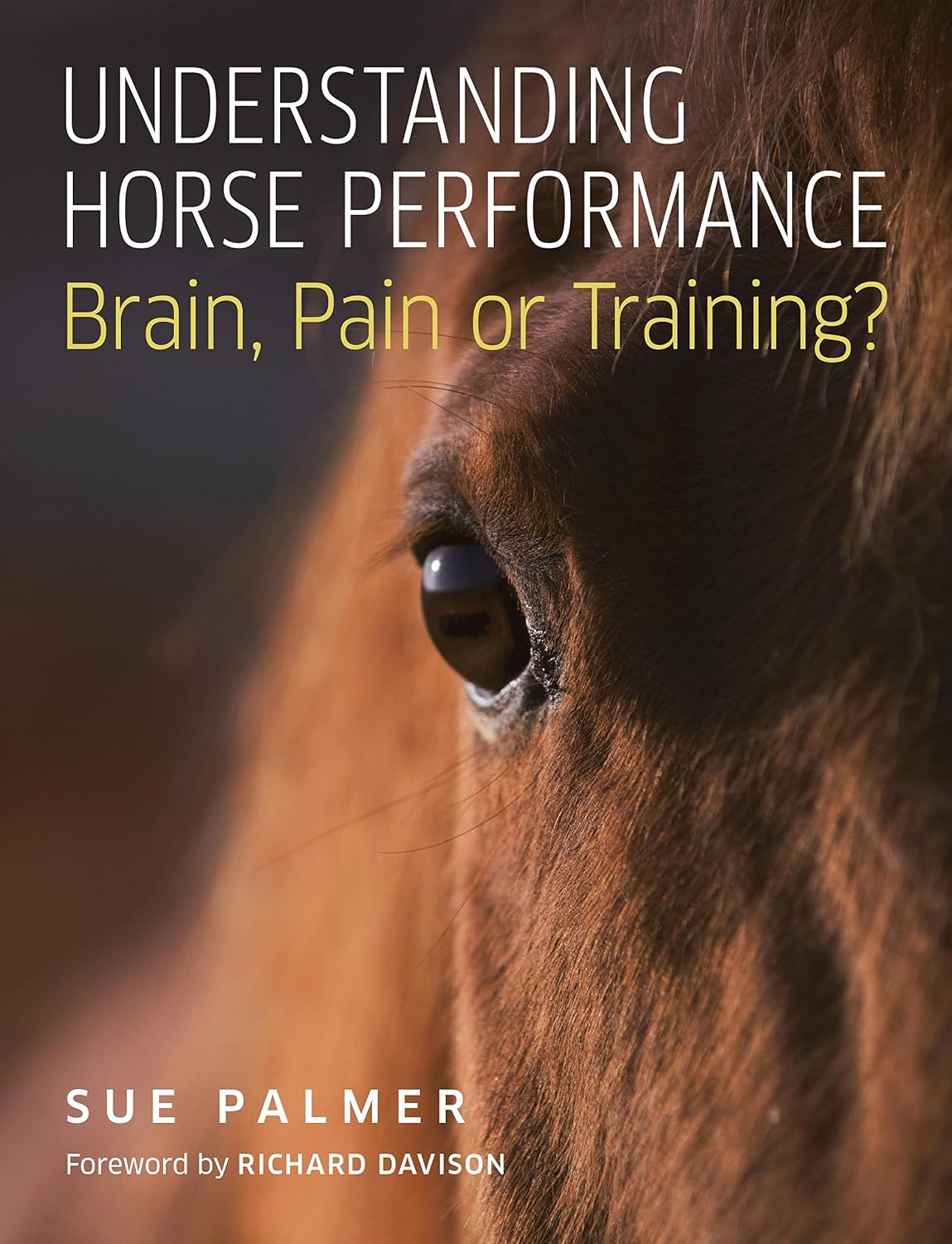 Understanding Horse Performance: Brain, Pain or Training?