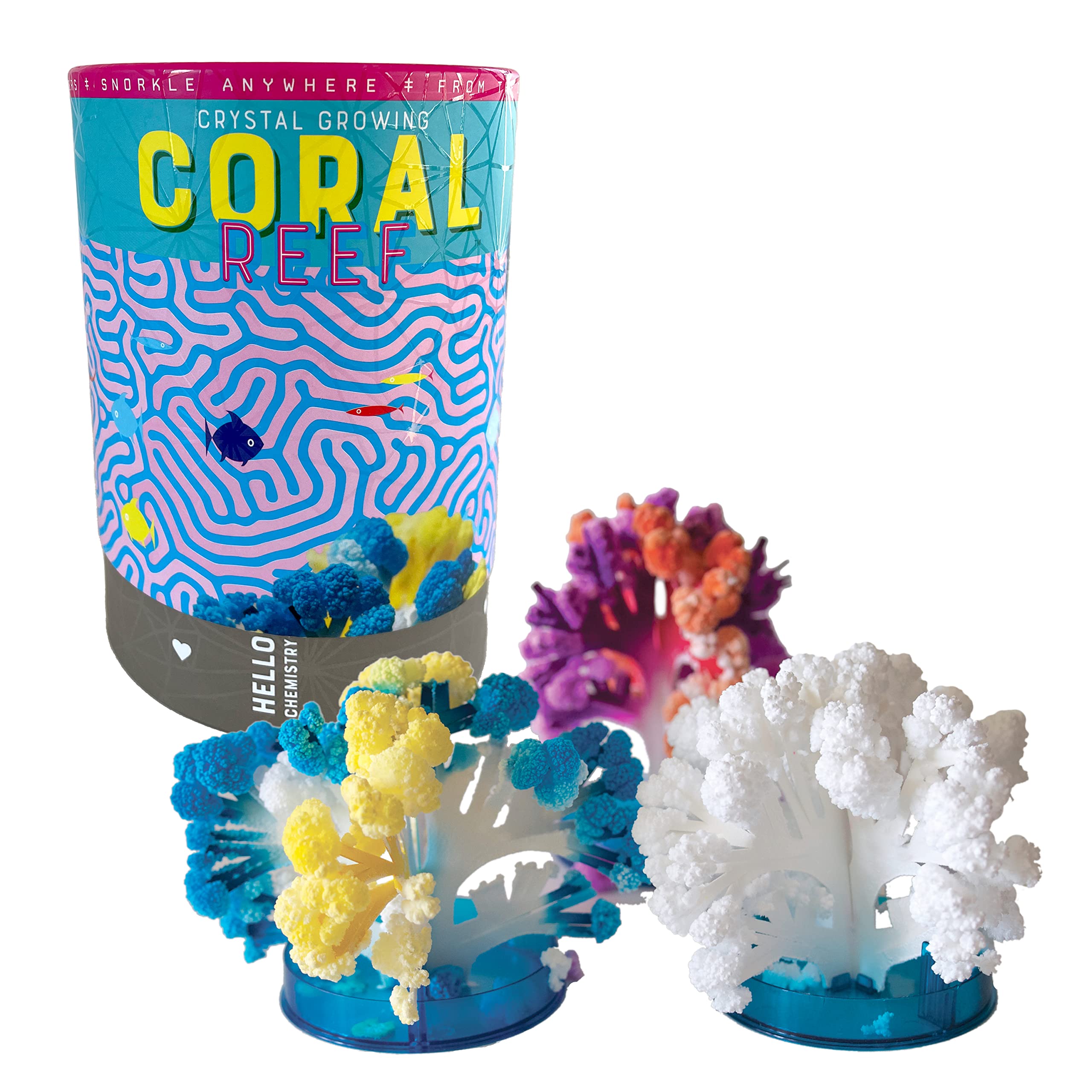 琉球*海花のたね　カラフル エアファーン　グラデーション12本セット　2025 Amazon.com: Crystal Growing Coral Reef: Grow 3 Colorful Coral-Like