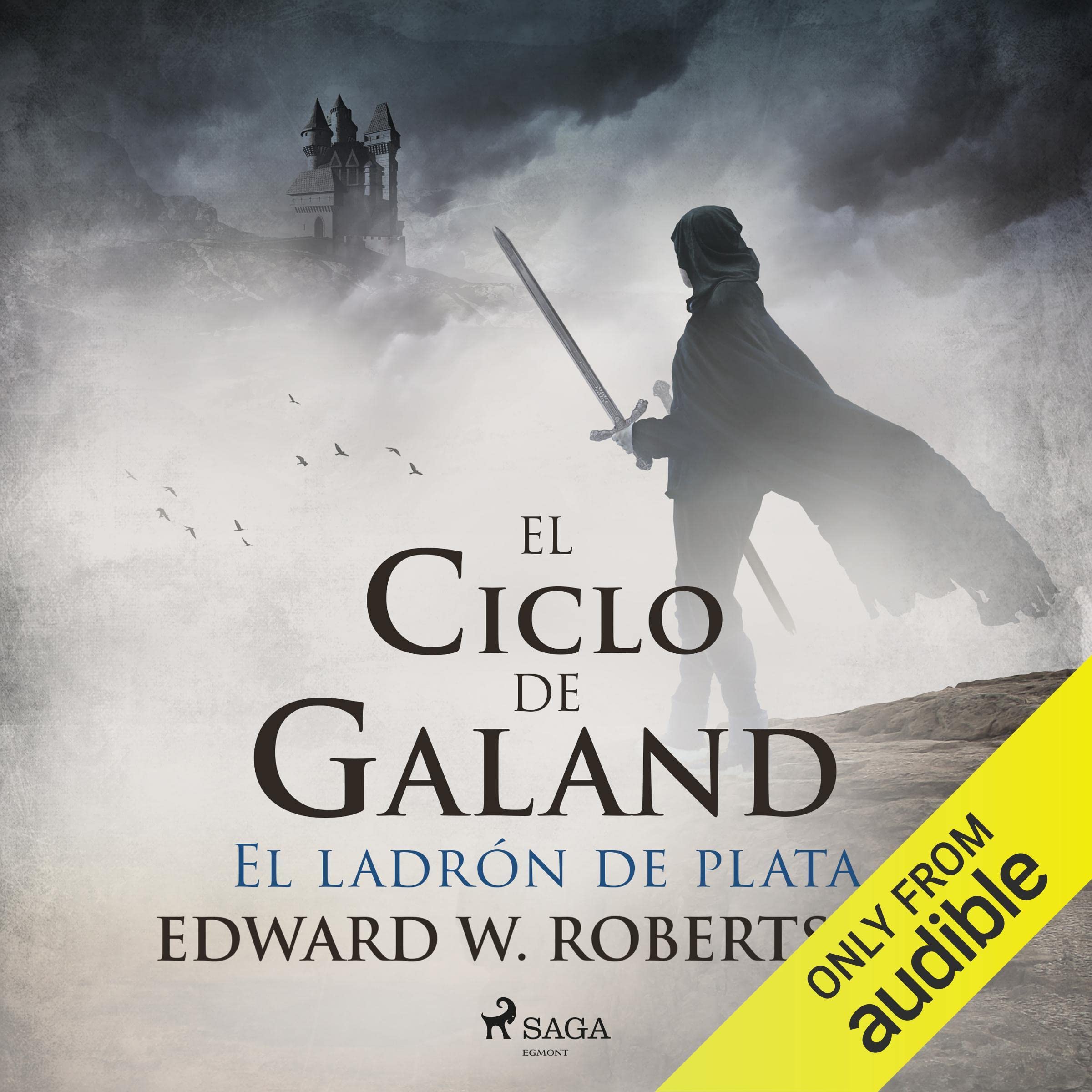Cover art for El ladrón de plata [The Silver Thief]