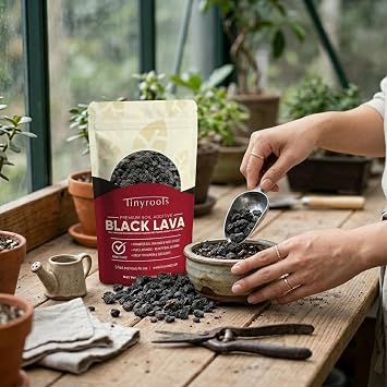 Tinyroots Black Lava Rock for Plants, 2.25 Quarts, Premium Sifted Bonsai and Cactus Soil Aggregate Used for Top Dressing, No Dyes and No Chemicals, 1/8 to 1/4 Inch Particle Size