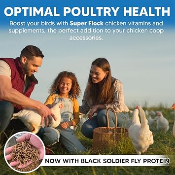 Super Flock Pro Boost Probiotic - Probiotics, Vitamins, Minerals and Electrolytes for Chickens | Chicken Vitamins and Supplements for All Poultry + 1lb