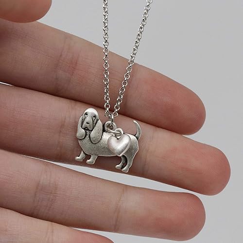 Miniatura 53 de Collar de raza de perro Grupo A