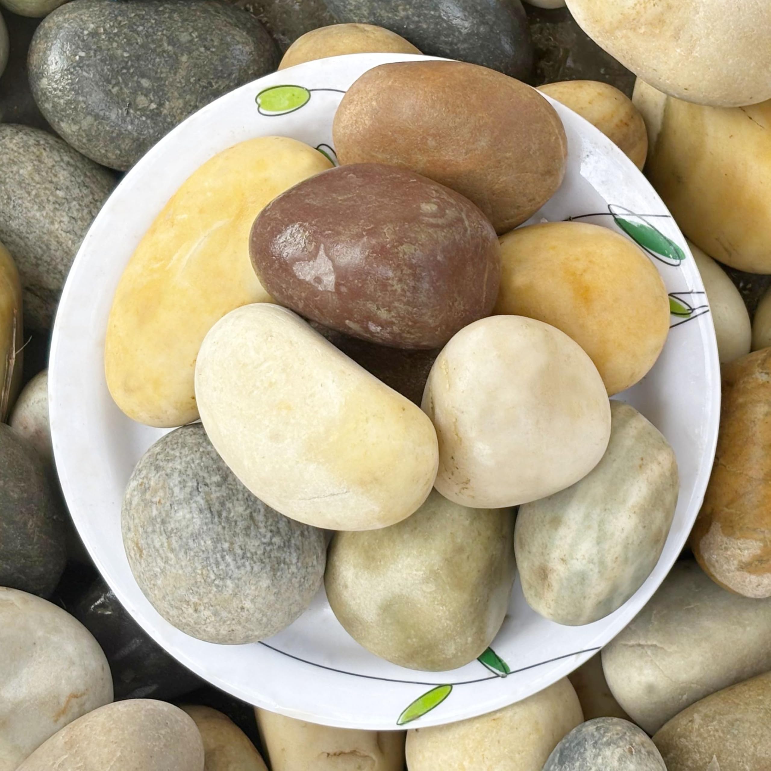 Foodie Puppies River Rocks Natural Multicolour Big Monster Stone - (Large - Pack of 10) for Painting, Aquarium/Fish Tank, DIY, Arts, Crafts, Home Decoration, Garden, and Swimming Pool