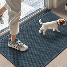 LEKEEPGO Door Mat 17"x29", Non Slip Door Mat Indoor Entrance, Cyan Blue | Rubber Backing Absorbent Indoor Door Mats, Washable Low-Profile Doormat Front Entryway Entry Resist Dirt Inside Door Mats