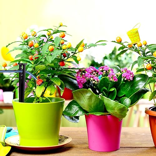 Miniatura 6 de 100 estacas de soporte de goteo de riego para tubería de 14 de pulgada, estacas de plástico para manguera de goteo para riego, invernadero, jardín,