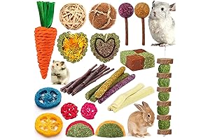 Natural Bunny Toy Set for Teeth Care