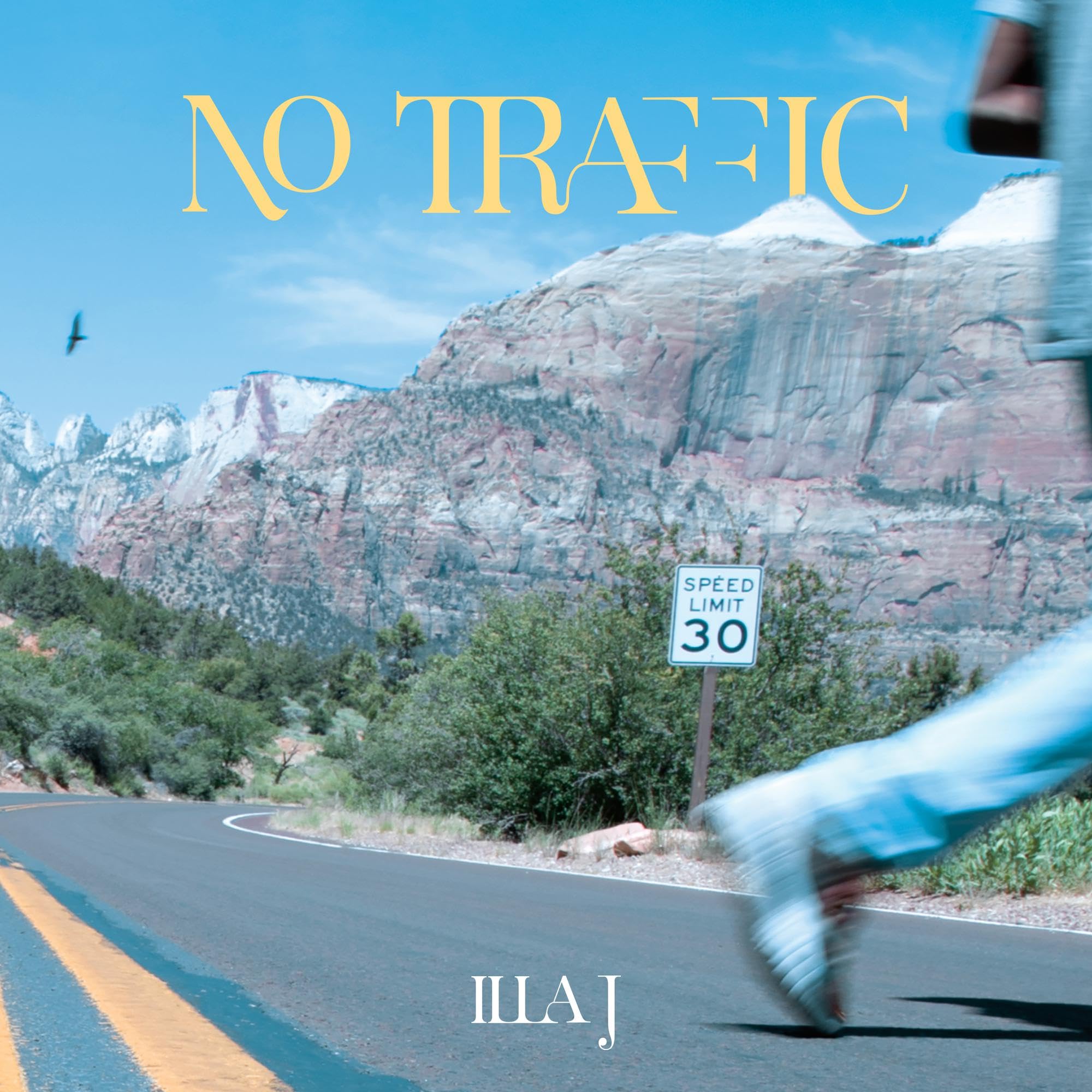 No Traffic [VINYL]