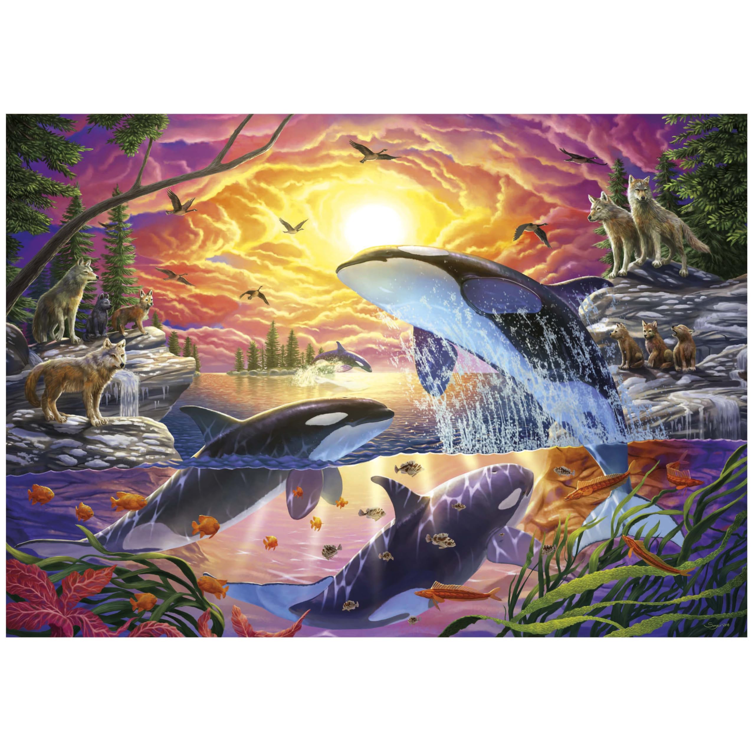 Amazon.com: Educa - Puzzle of 4000 Pieces for Adults | Orcas