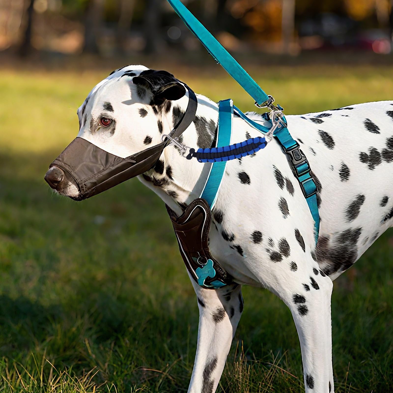 3pcs Colliers de Sécurité à Griffes, 17,4 x 2 cm Rotatifs à 360° Sangles Sécurité pour Collier Rallonges Laisse Chien Double Clip pour Connecter Un Harnais Chien