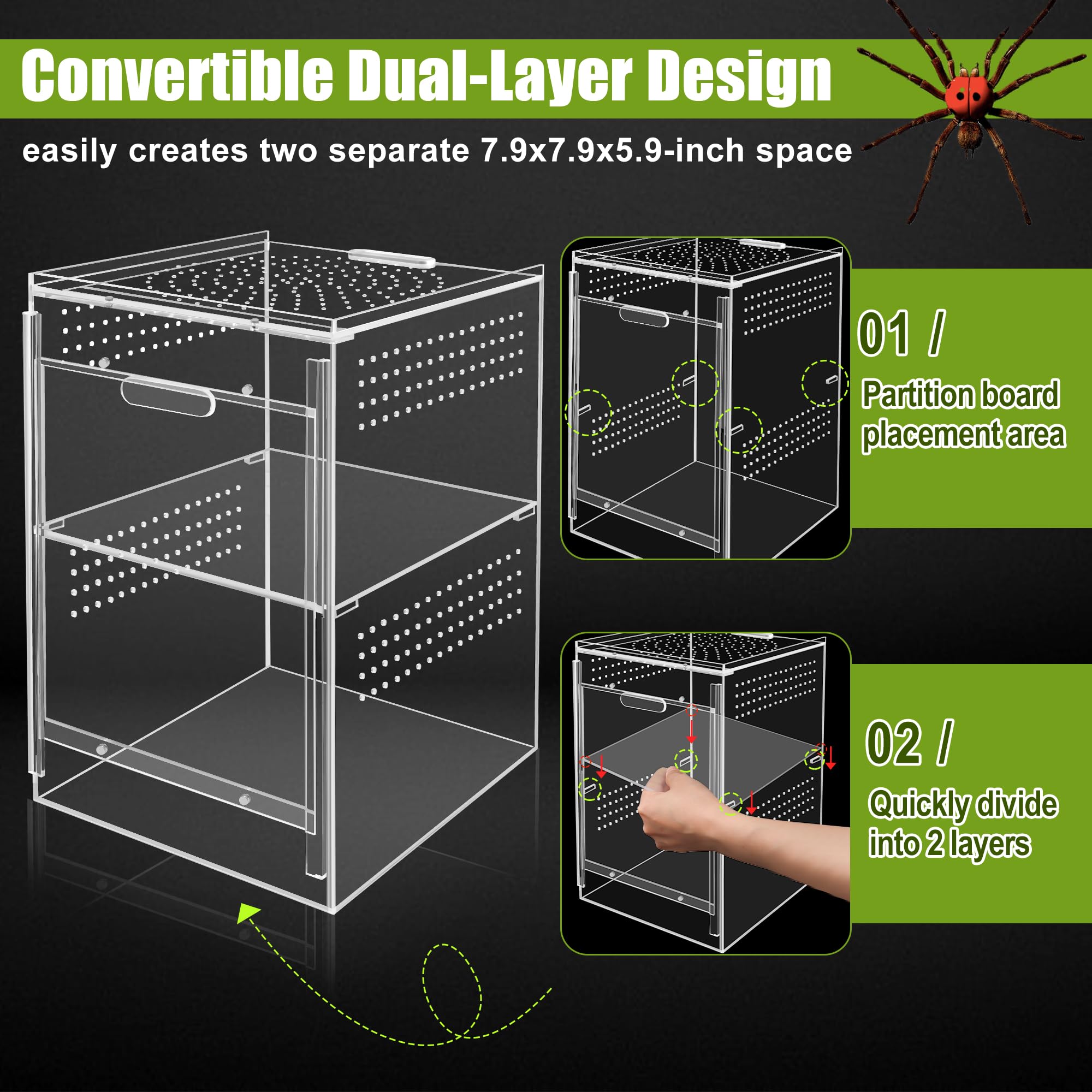Windspeed Caja de araña de salto de doble capa de acrílico para terrario de micro hábitat, caja de terrario para arañas, mantis, tarántula, caracol (21 x 21 x 30 cm)
