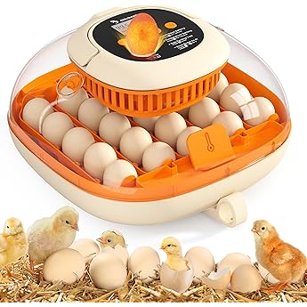 25 Egg Incubator for Hatching Chicks, Automatic Egg Turner with Thermometer Seat and Humidity Control, Egg Candler, 360° View with Clear Window