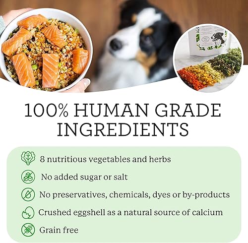Miniatura 3 de Dr. Harvey's Alimento para perros Veg-to-Bow, mezcla de base deshidratada de grado humano para perros, mezcla holística sin granos, tamaño de prueba