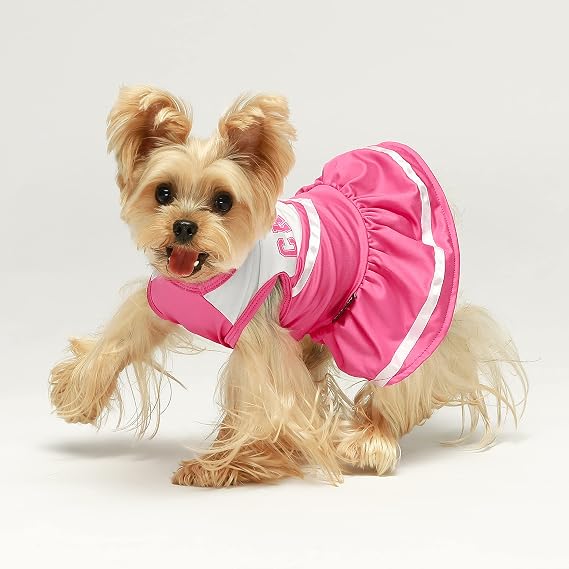 Fitwarm Cheerleader Dog Costume, Sporty Cheer Dog Dress for Small Dogs Girl, Pet Clothes Cat Outfits, Pink White, Small
