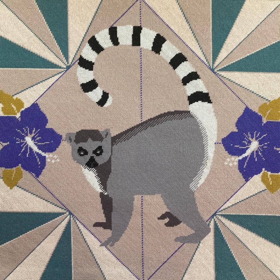 HM NABAVIAN Appletons Wool Needlepoint Kit – Wild Things Range - Lemur by Thread and Mercury