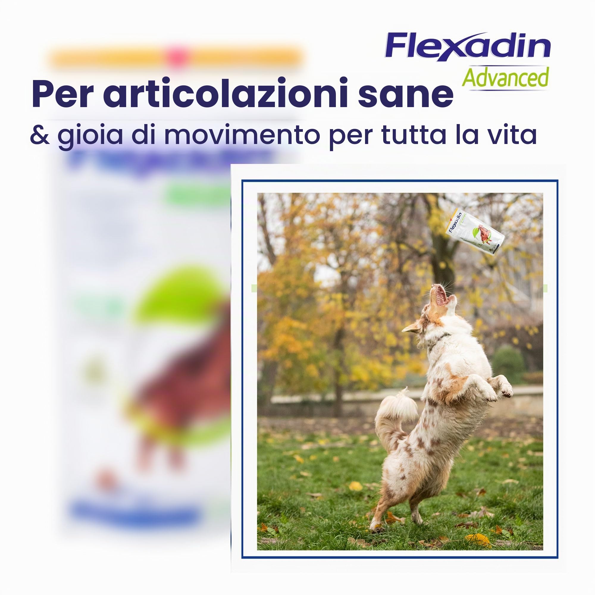 Vetoquinol Flexadin Advanced antiossidante per Cane