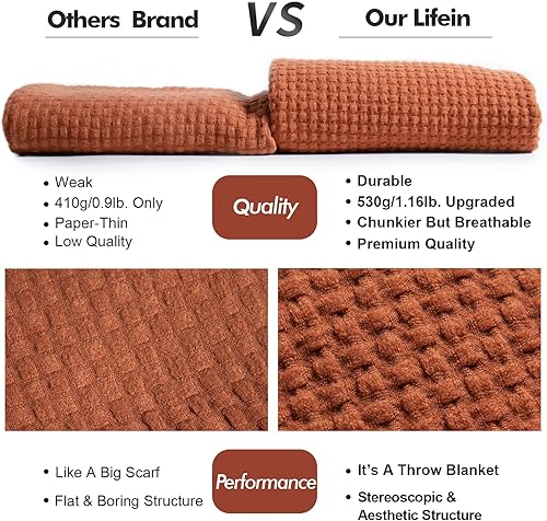 Miniatura 3 de LIFEIN - Manta de punto estilo bohemio para sofá, manta bohemia suave de primavera, acogedora manta ligera de punto con borlas para decoración del