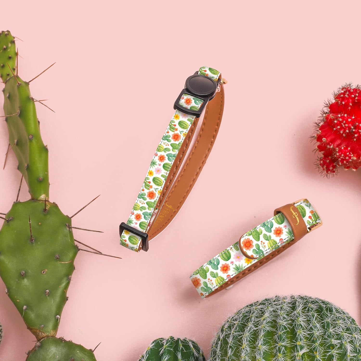 FriendshipCollar CACTUS CUTIE CAT COLLAR | Matching Cat Collar and Bracelet Set for Owner & Pet | Friendship Jewelry Set for Cat Mom and Cat | Cute Coordinated Pet Accessories | Gift for Cat Lovers | Vegan Leather