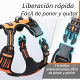 Ver la foto 6