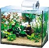 Tetra Glass Aquarium, All Glass Aquarium, GA-300F, Aquarium, Tropical Fish, Meadaka, Goldfish