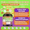 Puyrzoe Natural Flea and Tick Prevention for Cats, Itch Relief, Skin & Coat Support, 500 Chews with 6-Strain Probiotics, Gut & Immune Health, Flea Treatment for Cats, Chicken Flavor, All Breeds & Ages