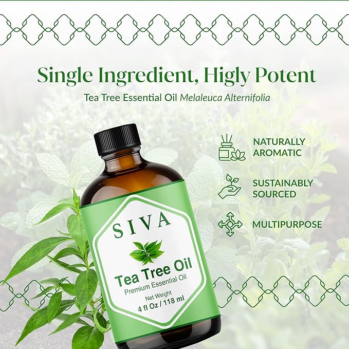 Siva Tea Tree Aceite Esencial de Árbol de Té 4 Fl Oz Natural miniatura 3