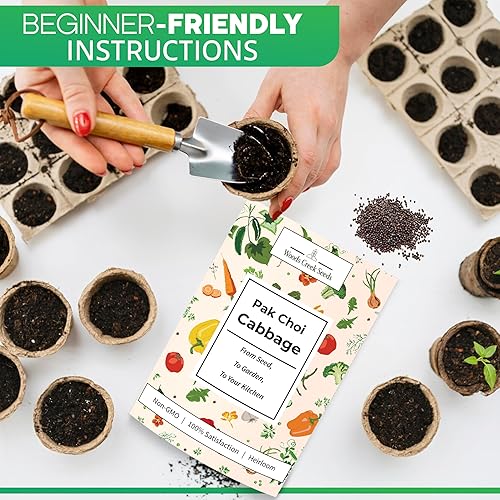 Miniatura 10 de Semillas de col Golden Acre para plantar, más de 700 semillas, sin OMG, reliquia Woods Creek Seeds