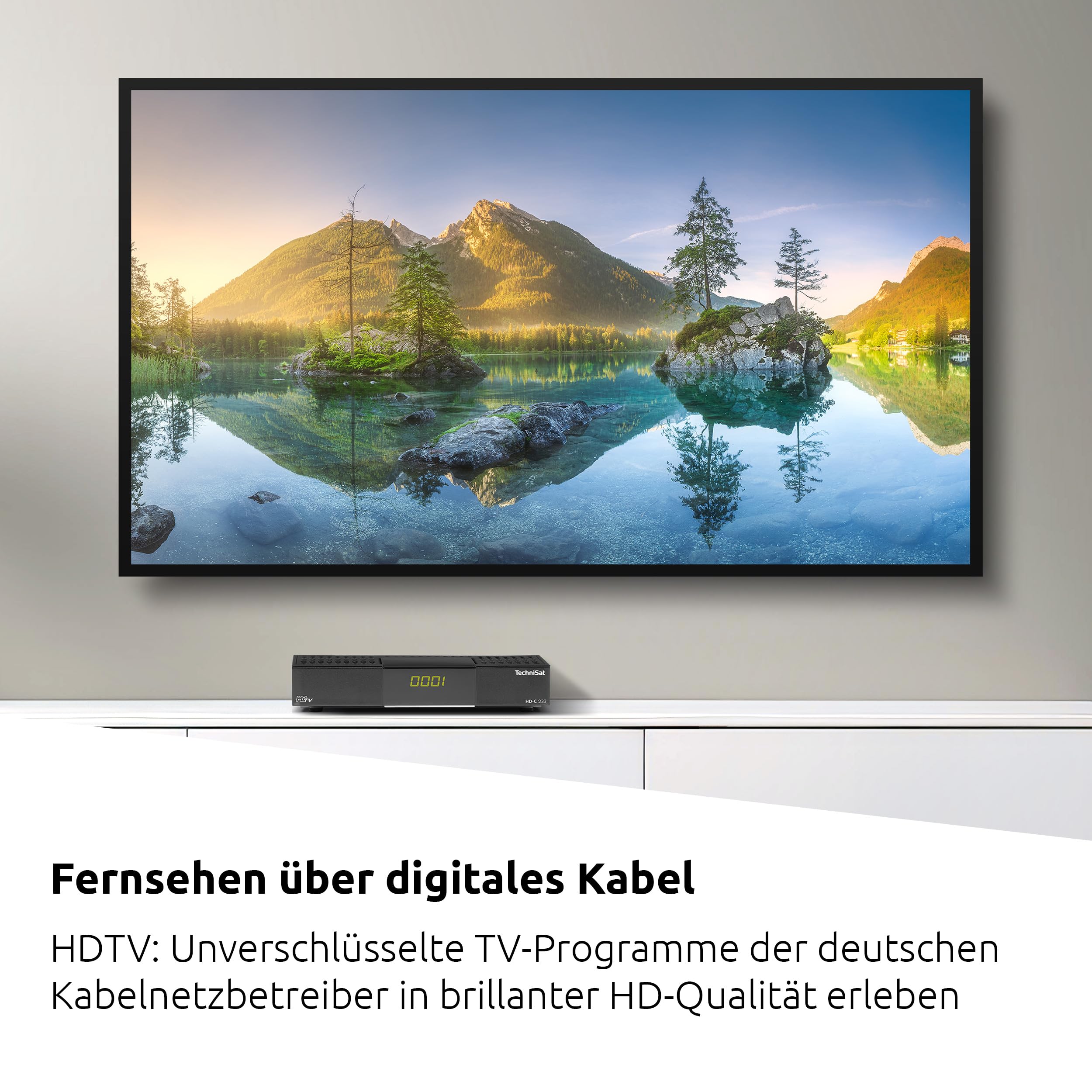 TechniSat HD-C 233 HD-Receiver DVB-C HDMI SCART USB 2.0 schwarz