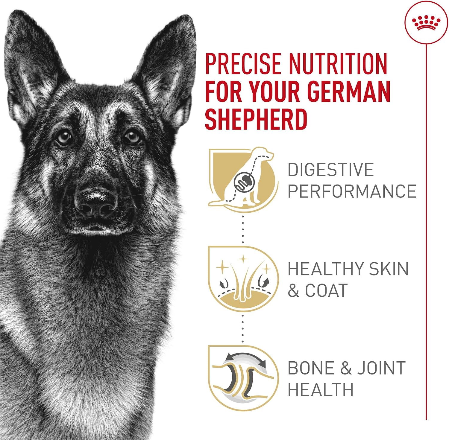 Royal Canin Breed Health Nutrition German Shepherd Adult Dry Dog Food, 5 lb Bag