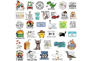 400 Pcs Funny Accessories: Funny Stickers