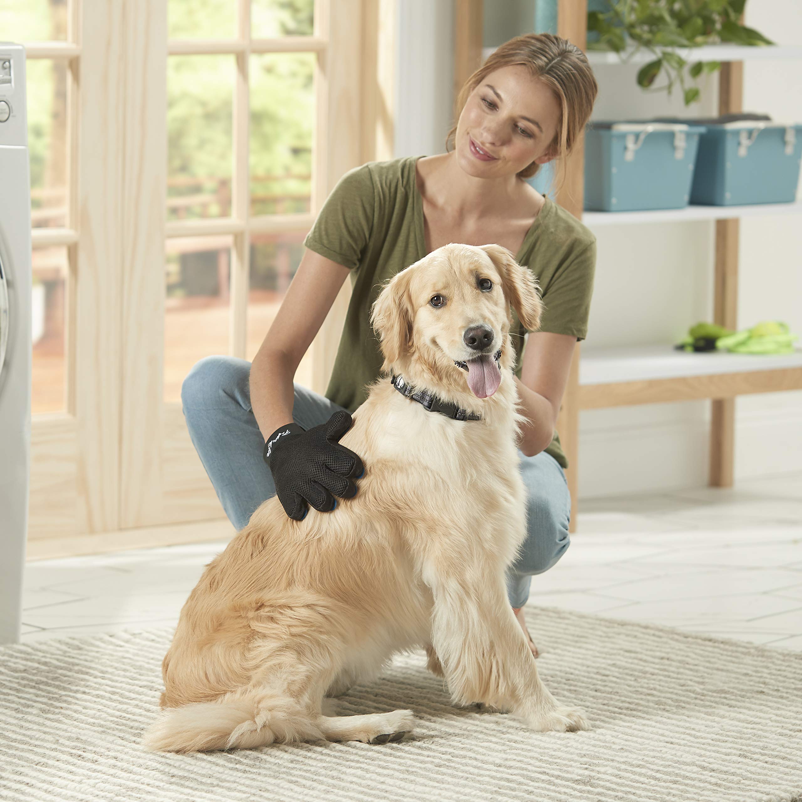 shed-Master – Guanti – Franklin toelettatura Pet Supply – Gentle de-Shedding – Hair Remover – Dogs & Cats – mobili Pet rimozione dei Capelli – Capelli Lunghi e Corti