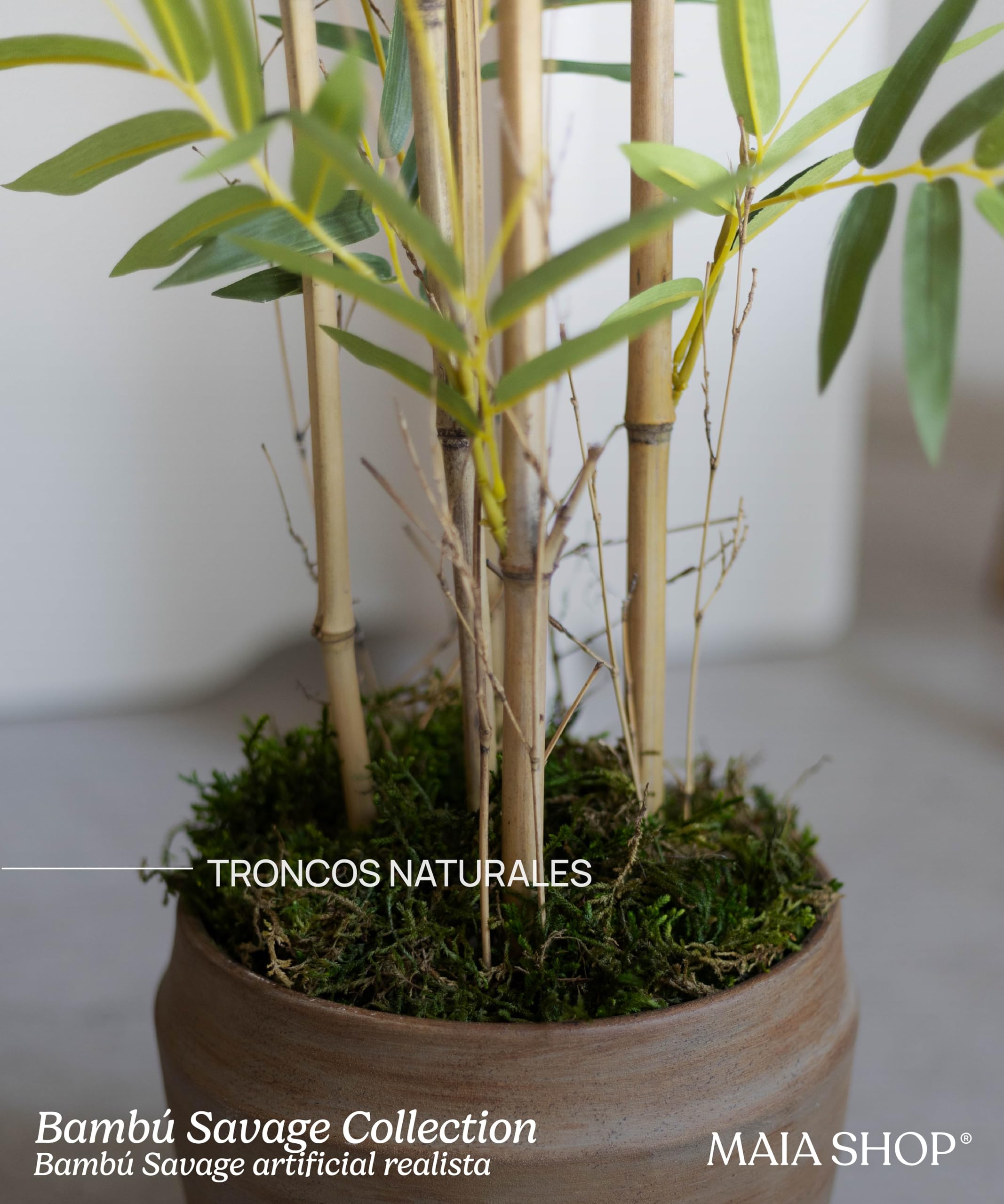 Maia Shop | Künstlicher Bambus Savage | Kunstpflanzen | Künstlicher Baum | Maße: 180 cm | Große künstliche Pflanze | Fake Plant | Deko | Deko Pflanzen |