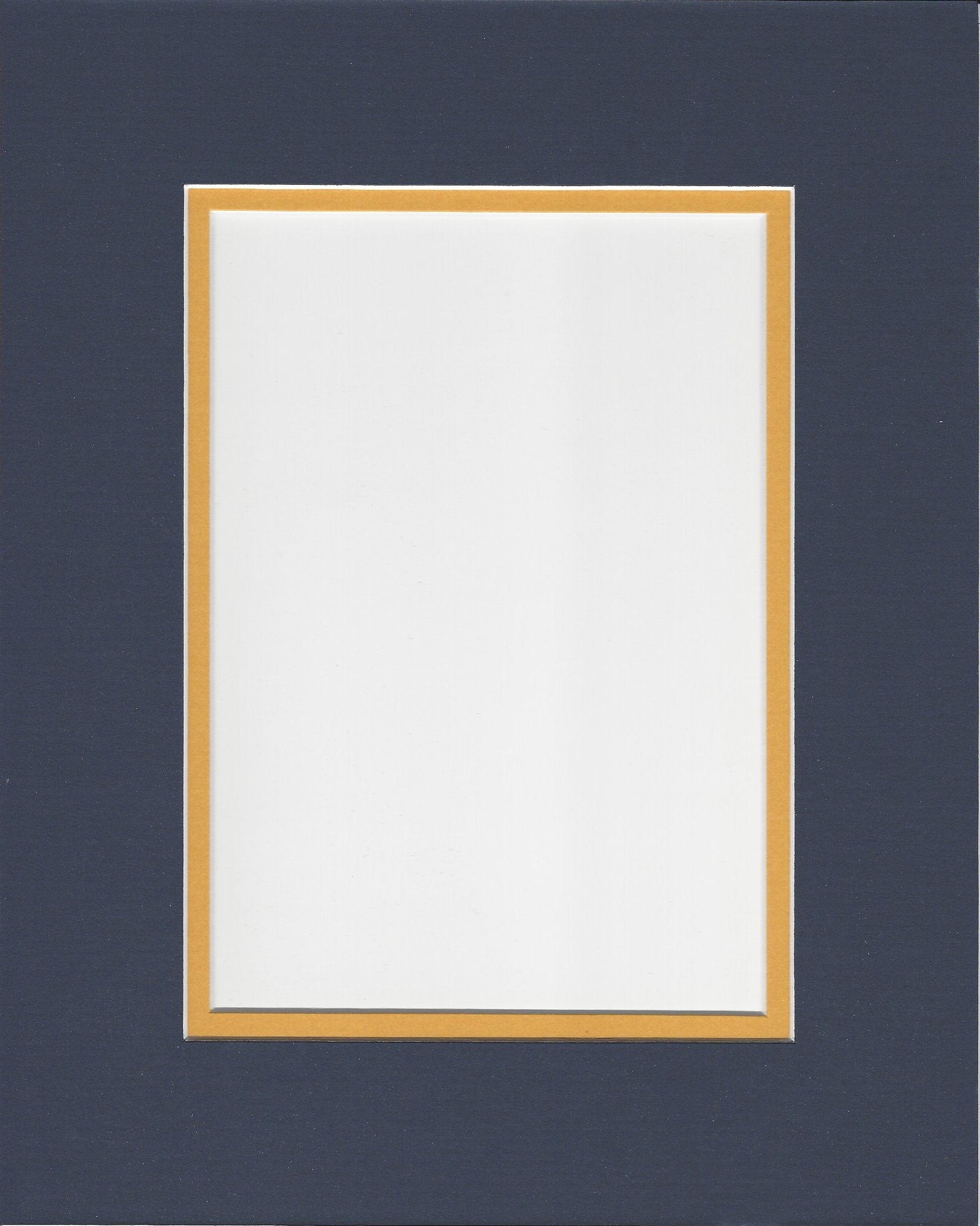 16x20 Navy Blue and Sun Yellow Double Mat, Bevel Cut for 12x16 or Photo-image-39