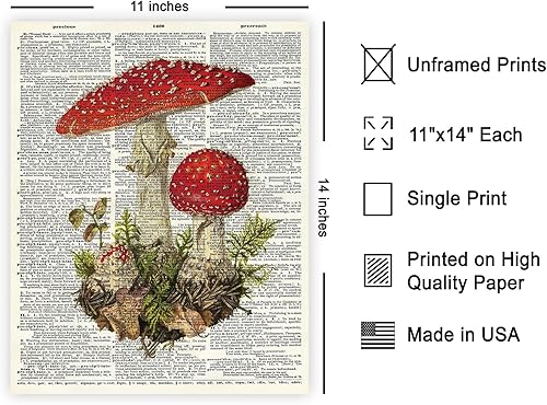 Miniatura 518 de Poster Master Póster vintage de orquídea, estampado de flores retro, arte de pared de plantas exóticas, arte botánico, regalo para hombres y