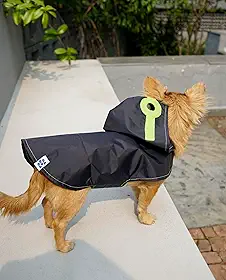 Capa de Chuva Pet para Cachorro - Azul Marinho - Nylon Emborrachado - Impermeável - com Detalhes Verde Neon - Tamanho EPP