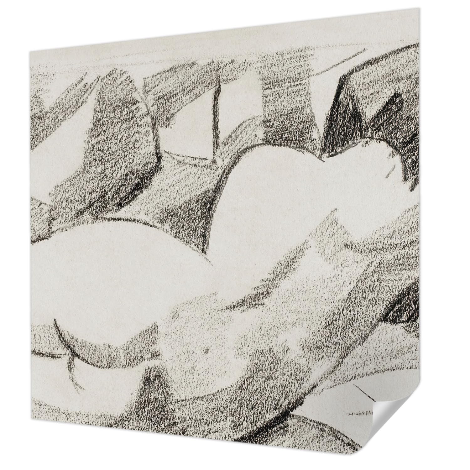 Papier Peint Autocollant Haute Qualité Résistante aux Taches 250x250