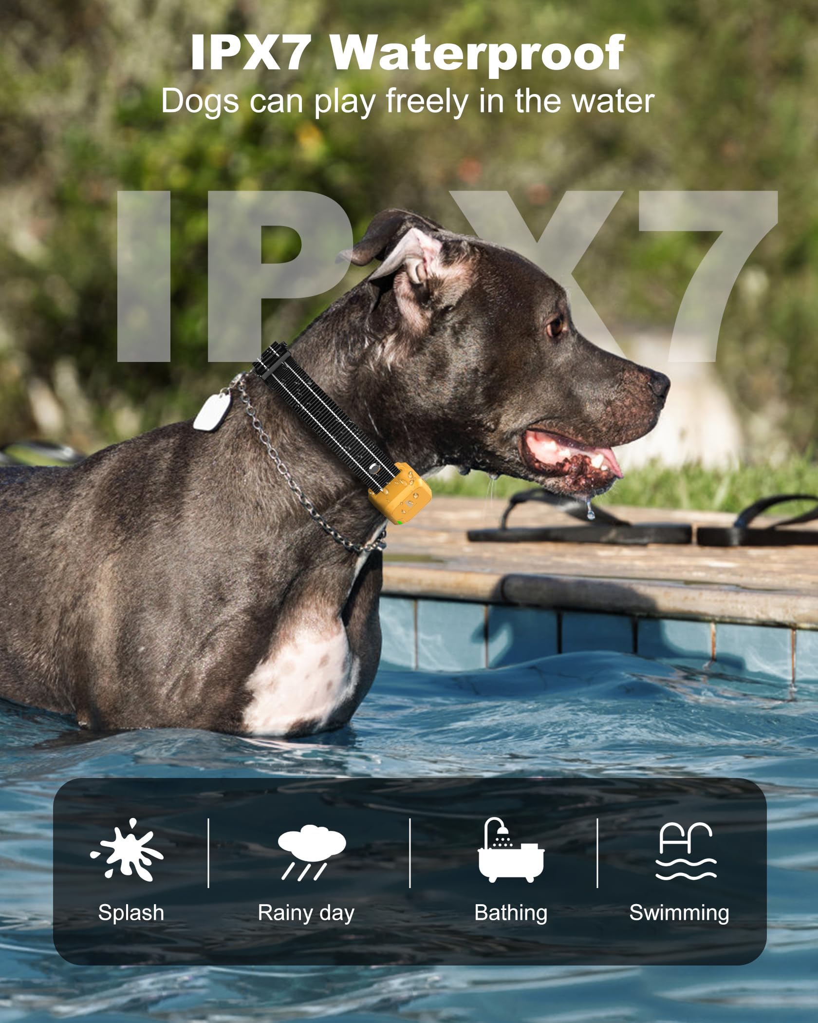 Best Gps Shock Collar for Dogs: Top Reliable Training Solutions