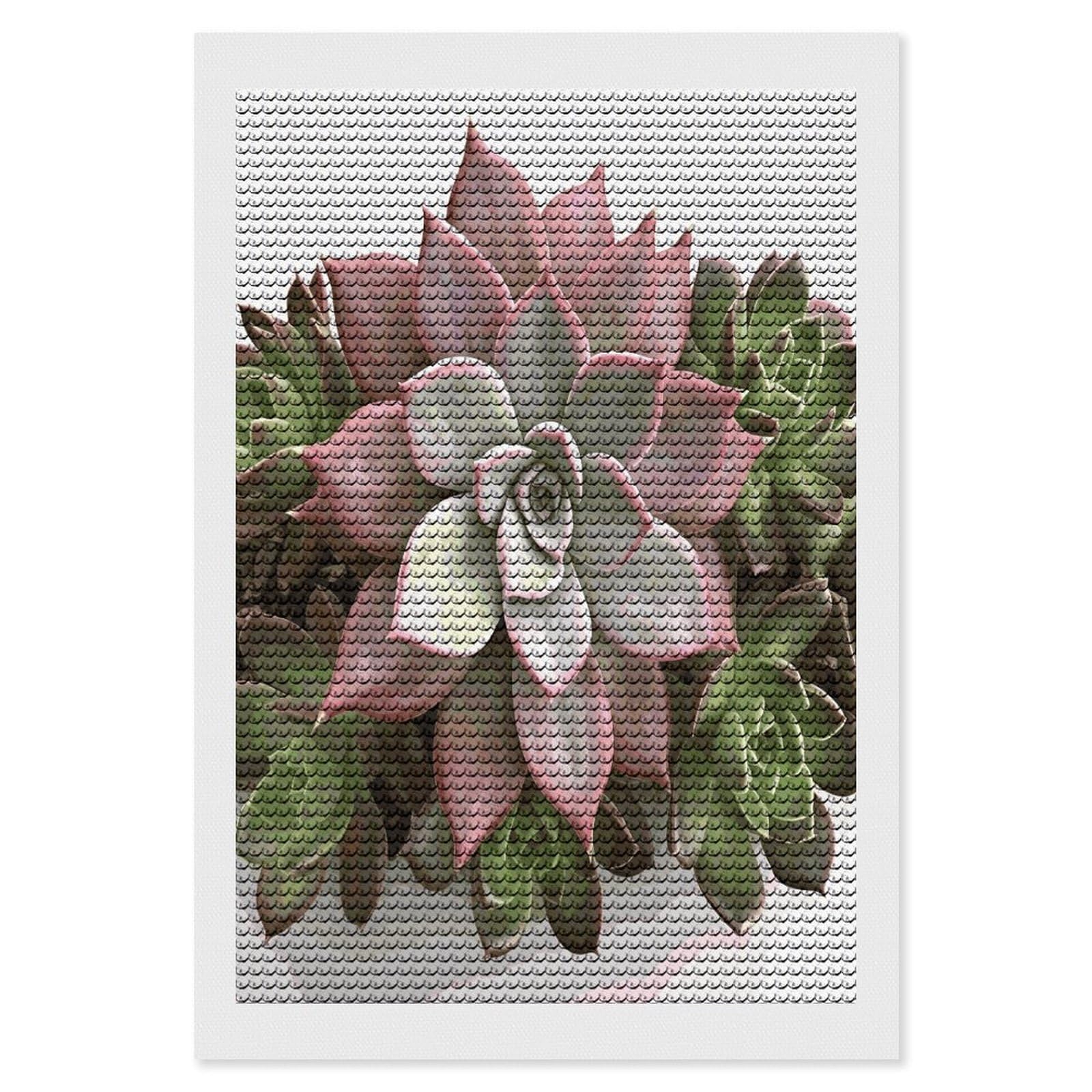 FekiLoot Succulent Botanical Diamond Painting Kits for Beginners DIY Diamond Art Kits for Adults Full Drill Round Diamond Dot Gem Art Painting Fun DIY Crafts for Home Kitchen Wall Decor Gift 8"x12"