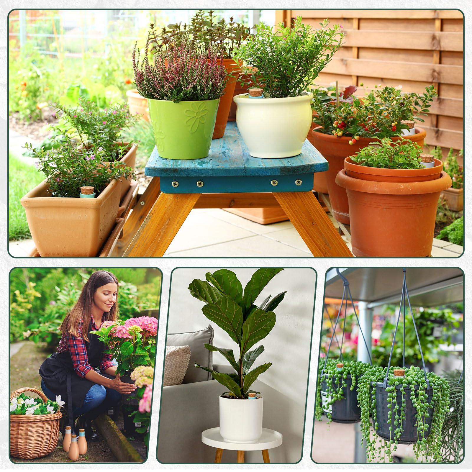 Tioncy Ollas Lot de 6 grands pots d'arrosage en terre cuite 382,7 g pour plantes d'intérieur et d'extérieur