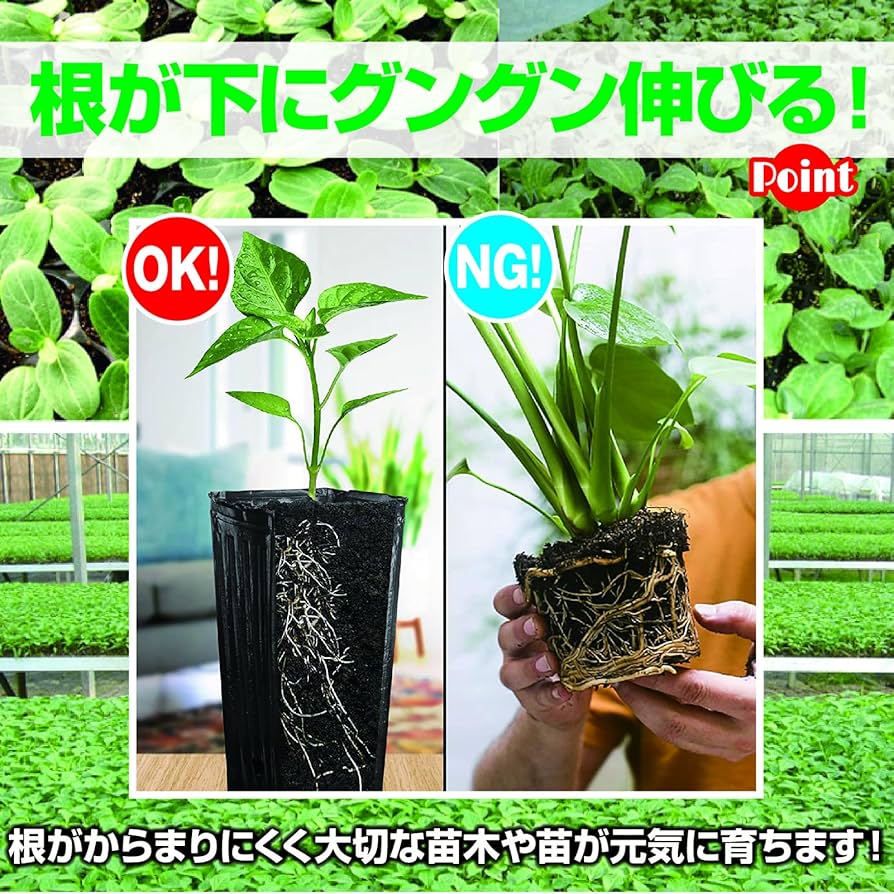 81F4xCgyyNL._AC_UF894,