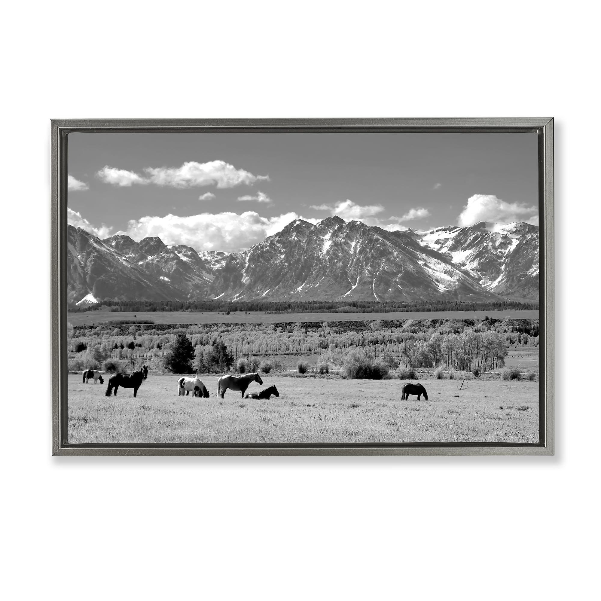 Wyoming Ranch Horses Grazing, 20 x 30 Inch Canvas in Floater Frame