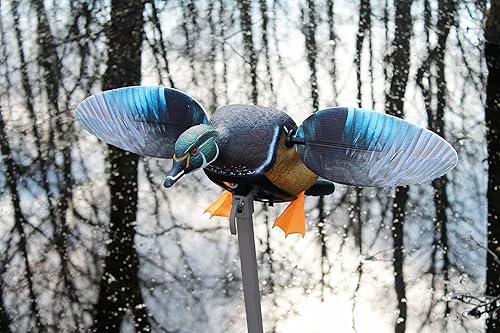 Miniatura 2 de MOJO Outdoors - Premium Waterfowl and Duck Hunting Decoys