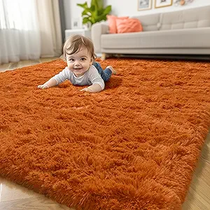 Amdrebio Burnt Orange Area Rugs for Living Room Bedroom, 6x9 Shaggy Furry Fuzzy Fluffy Rug for Kids Room Decor Aesthetic, Large Cute Plush Shag Dark Orange Carpet for Nursery Dorm Classroom Playroom
