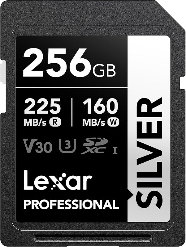 256GB Silver SD Memory Card, 225MB/s Read, 4K, V30, U3, UHS-I | Compatible w/ Canon, Sony, Nikon, Ideal for Professional Photographer, Videographer, Enthusiast, LSDSILV256G-BNNNU
