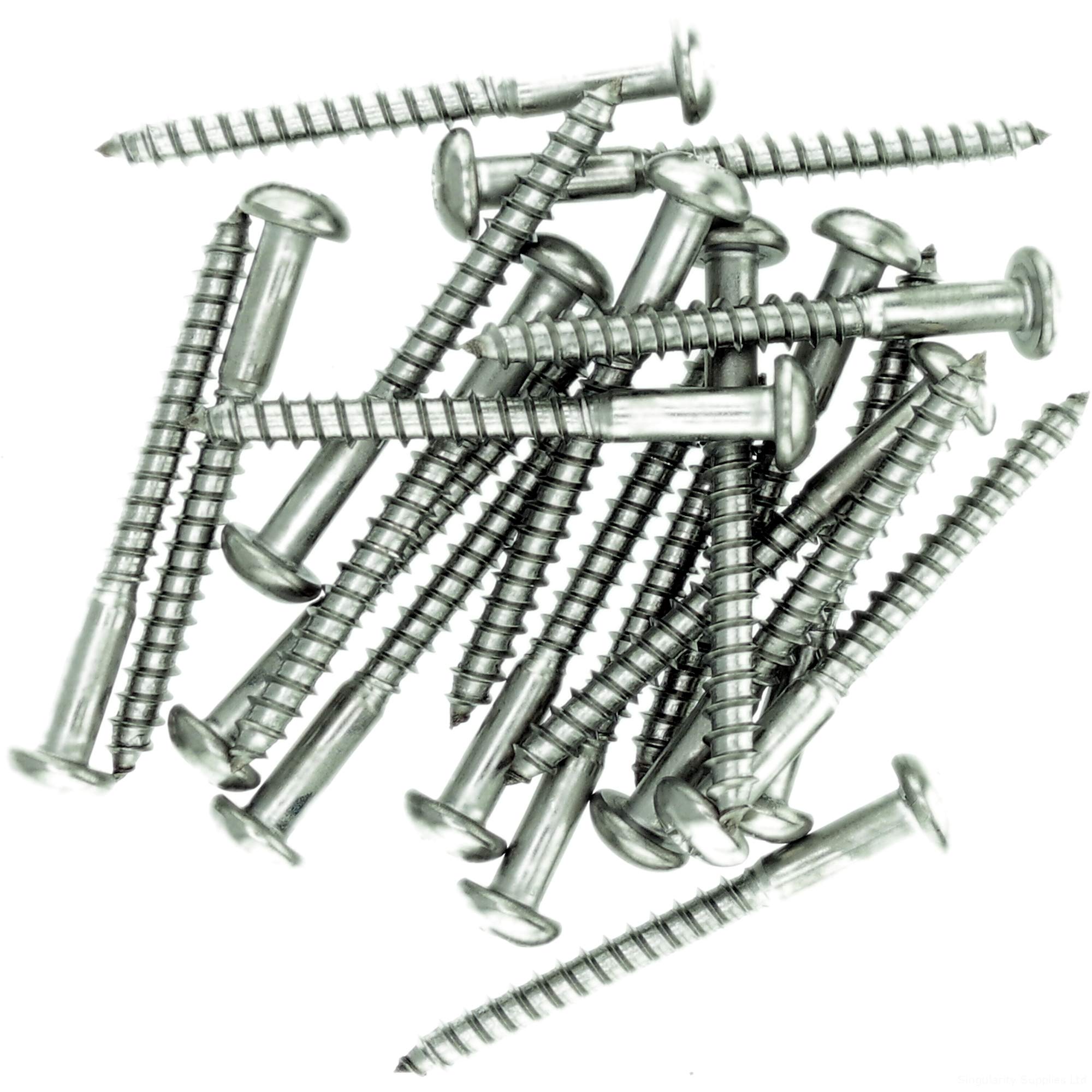 Singularity Supplies No.4 X 0.63 (3.0Mm X 16Mm) Pozi Pan Wood Screw - Stainless Steel (A2) (Pack Of 20)
