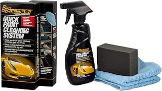10201 Paint Cleaning Kit, 12.00 fl. oz, 1 Pack