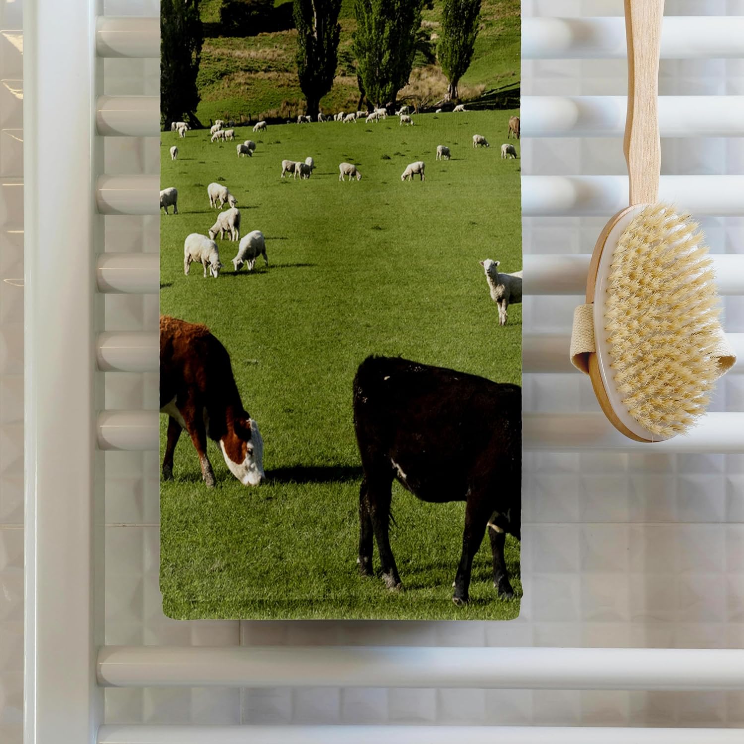 3dRose Farm Animals, Cows, Sheep, Masterton, New Zealand-AU02 DWA6395 - David Wall 22x30 Bath Hand Pool Towel