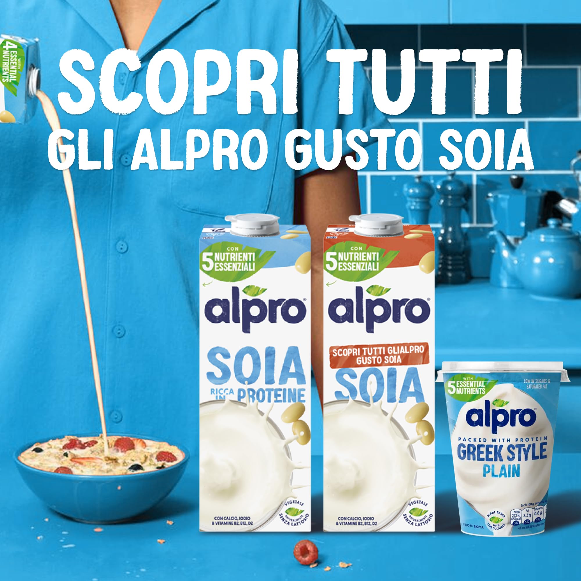 Alpro Soya Drink Natural, 12er Pack (12 x 1 l Packung)